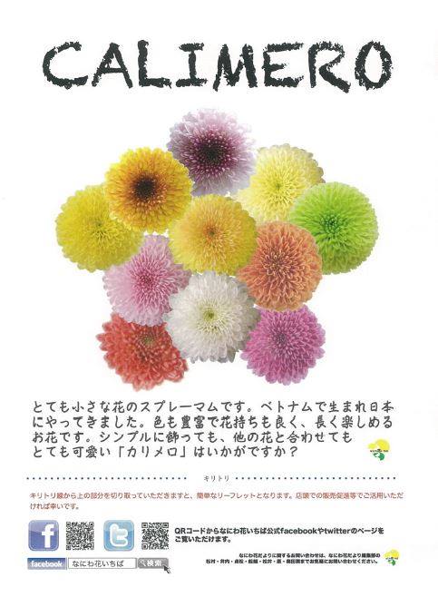 Kazuo Author At Greenwings 6ページ目 17ページ中